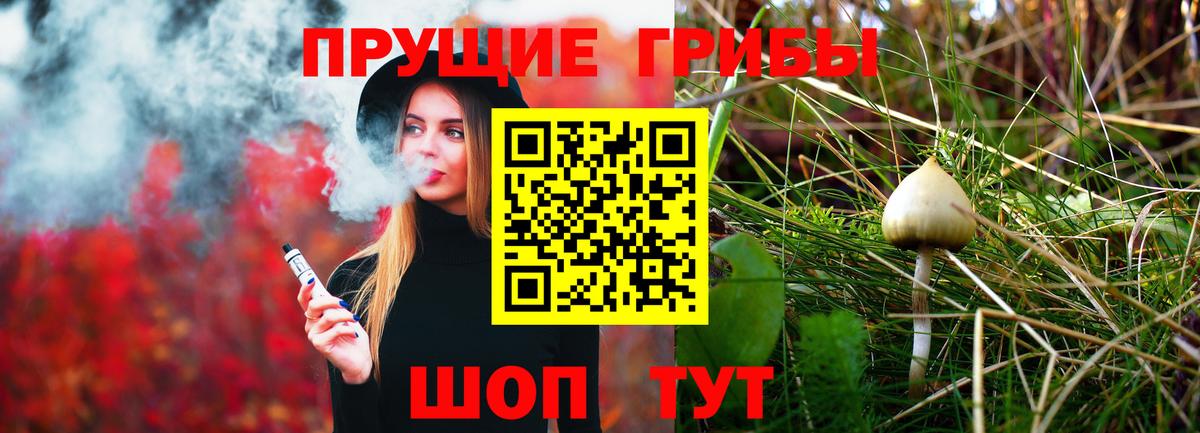 Галлюциногенные грибы MAGIC MUSHROOMS  Вход с VPN  Галлюциногенные грибы MAGIC MUSHROOMS  Елец 